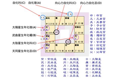 算命幾歲生孩子|紫微命盤如何看什麼時候有孩子？流年有天喜星表示易。